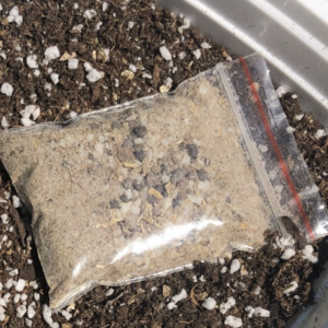 Cactus & Succulent Fertilizer Seedling Starter Charge