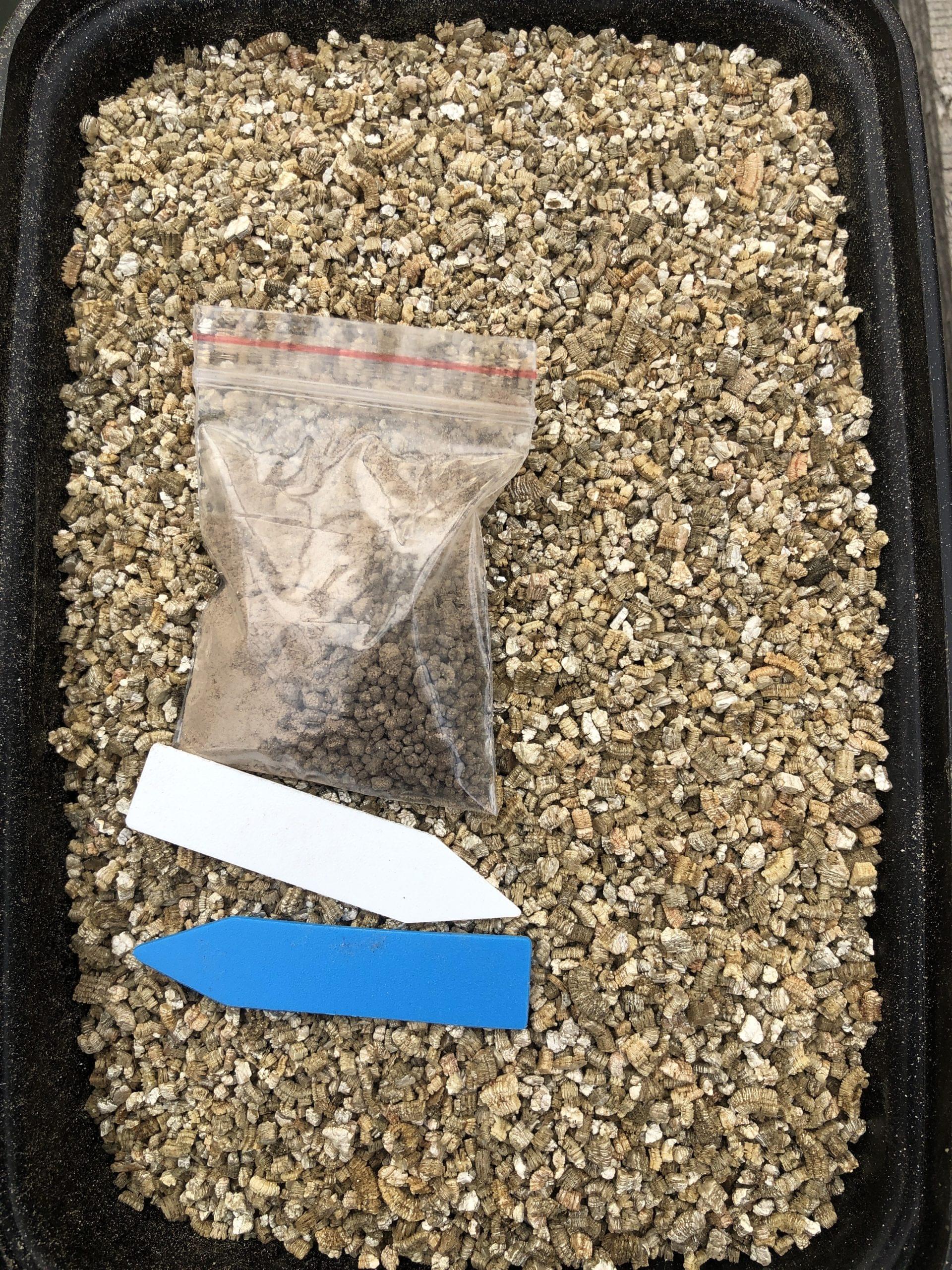Cactus & Succulent Seed Germination Kit